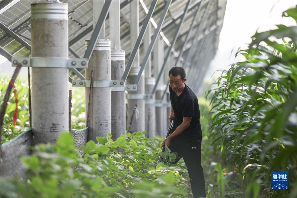 菠菜论坛全讯